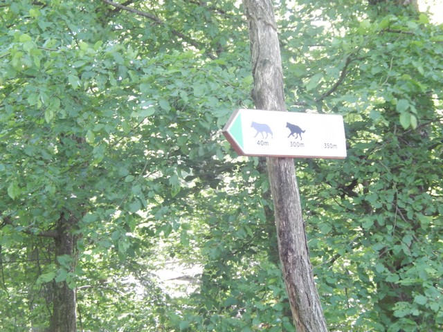 2015 Ste Croix 026 - Copie