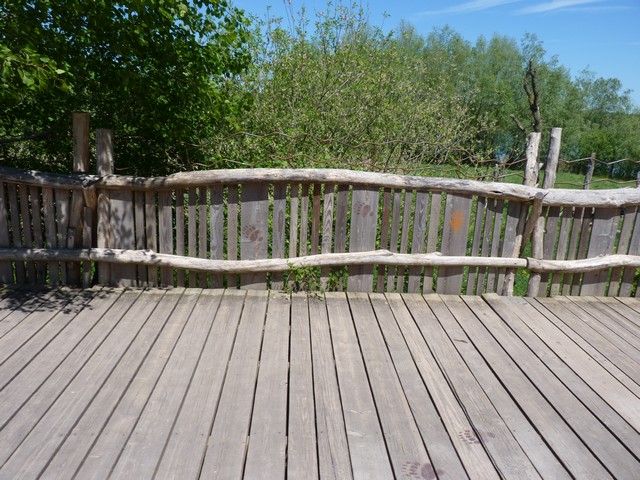 P1120930