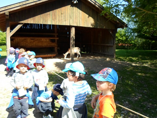 parc de sainte-croix 005