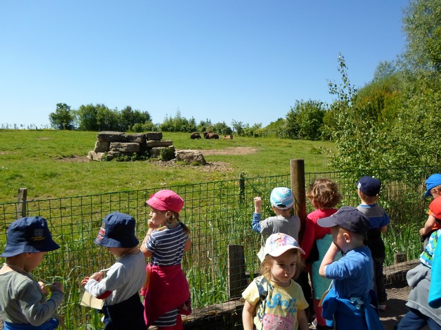 parc de sainte-croix 006