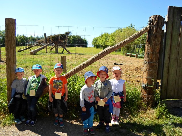 parc de sainte-croix 007
