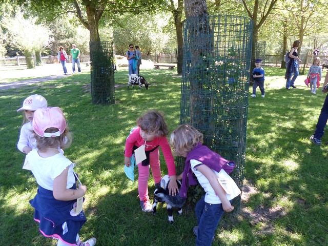 parc de sainte-croix 016