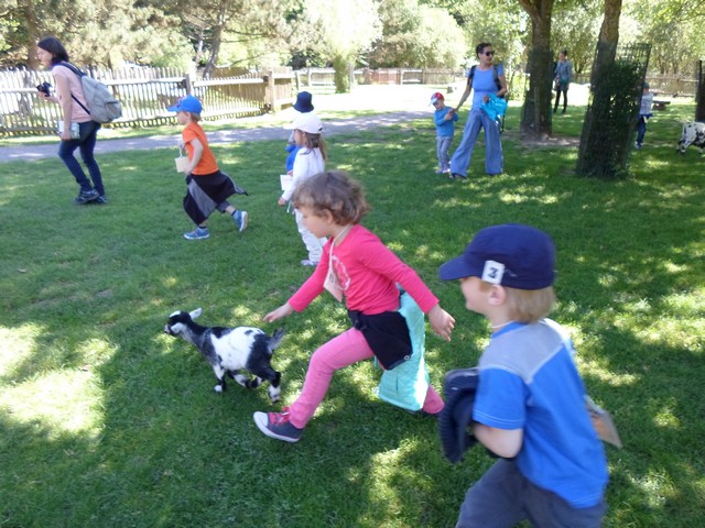 parc de sainte-croix 017